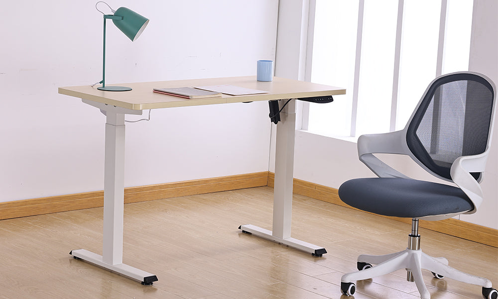 Sihoo D03 Office Standing Desk: The Perfect Choice for Your Home