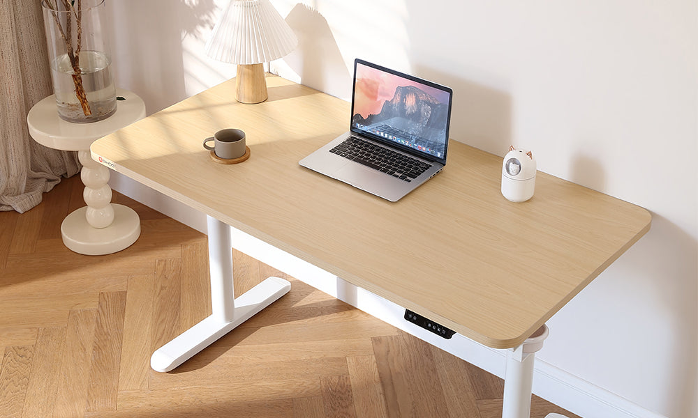 Sihoo D03 Sit-Stand Electric Desk: Elevate Your Workspace