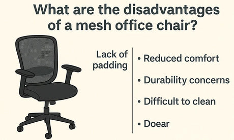 What Are the Disadvantages of a Mesh Office Chair?