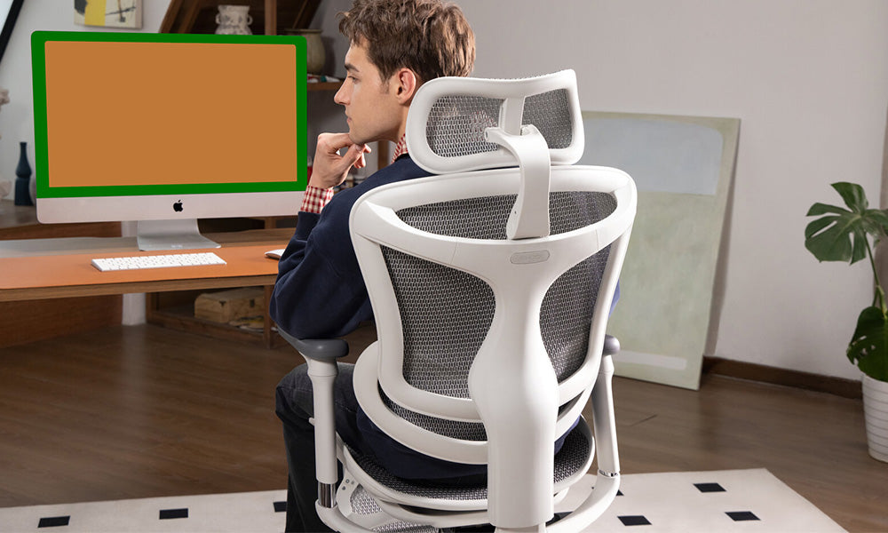 Why the Sihoo Doro C300 Is Built to Support You