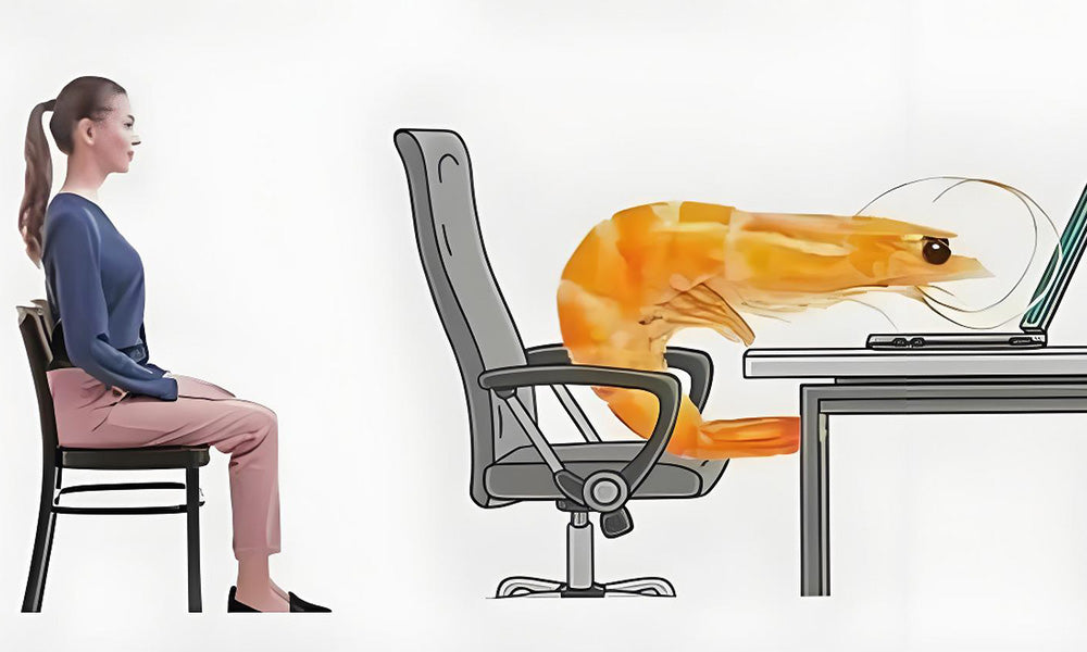 Do You Really Need an Adjustable Office Chair