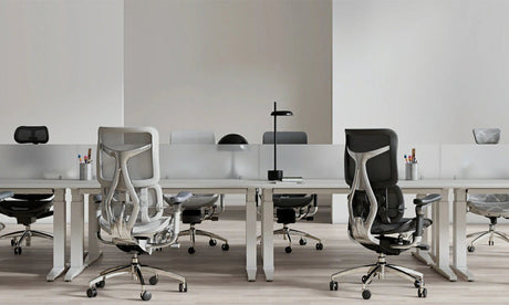 Why Choose Sihoo for Your Office Chair Wholesale Needs?