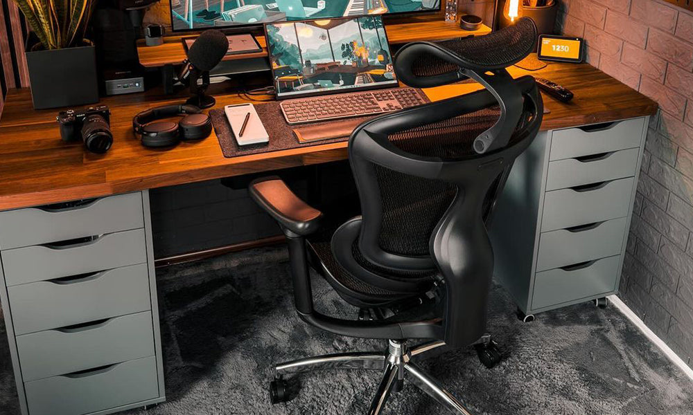 Sihoo Doro C300 Our Best-Selling Chair