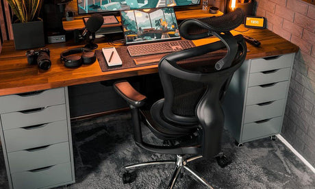 Sihoo Doro C300 Our Best-Selling Chair