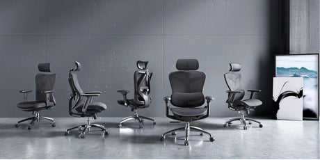 Ergonomic Chairs - Official US Sihoo Store