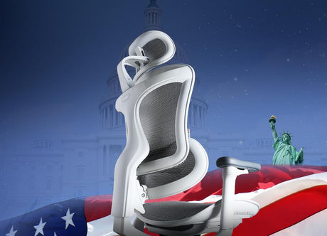 Office Chairs - Official US Sihoo Store
