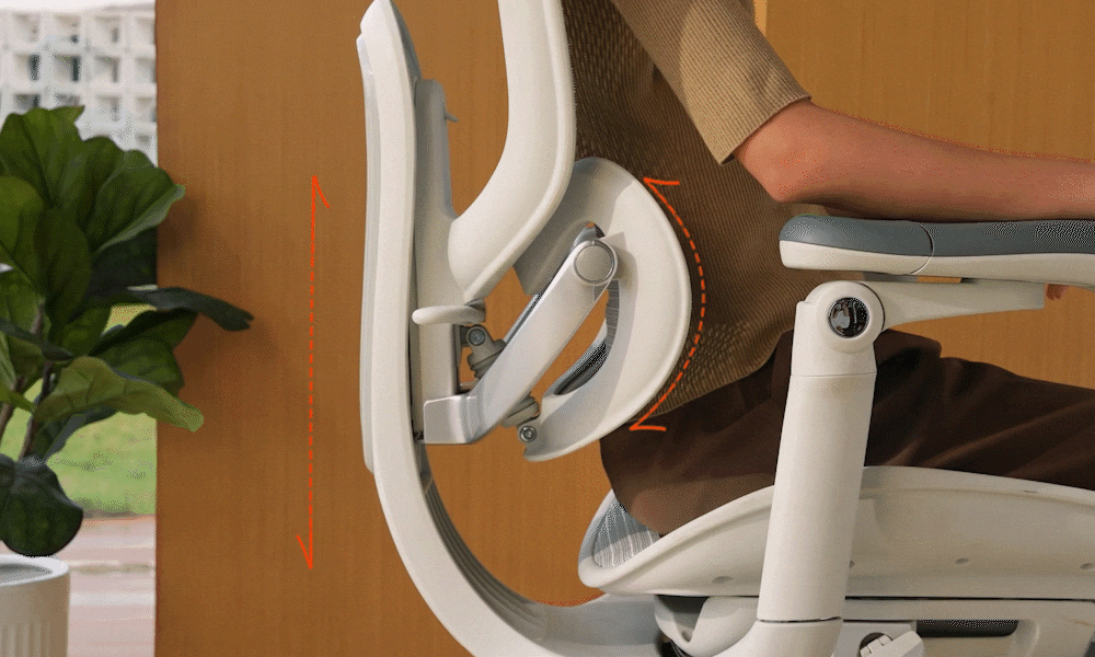 Support beyond the lower back.