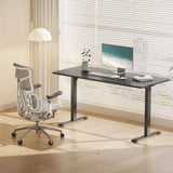 Sihoo D03 Electric Height Adjustable Standing Desk