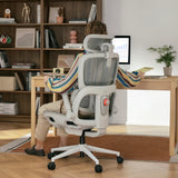 Sihoo B300 Pro Ergonomic Office Chair with 4D Lumbar Support