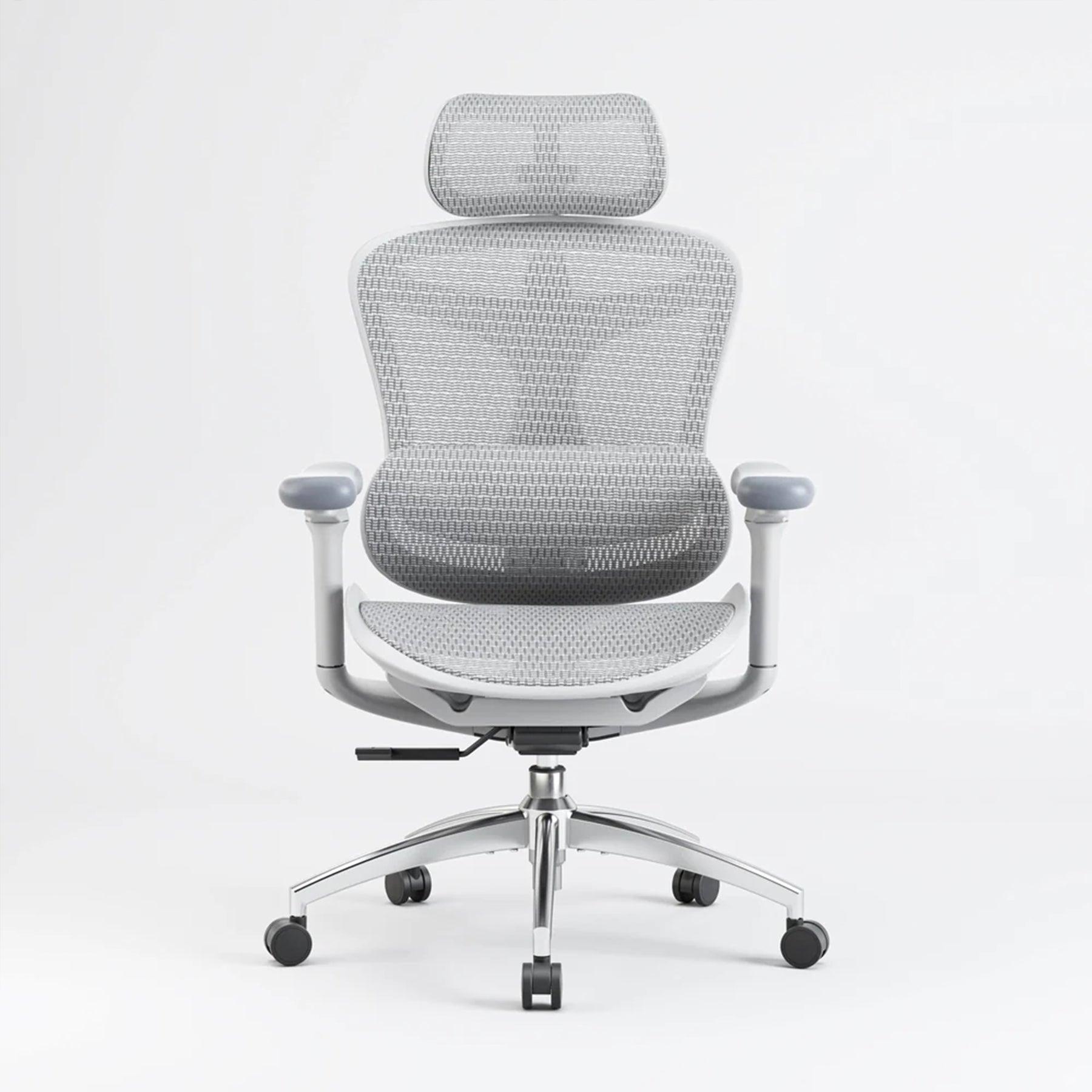 Sihoo Doro C300 Ergonomic Office Chair - Official US Sihoo Store