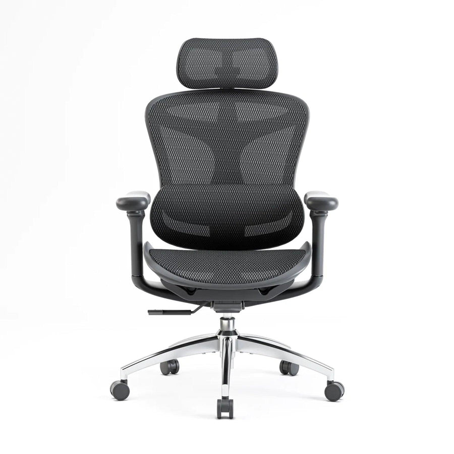 Sihoo C300 Ergonomic Office Chair with Advanced Back Support