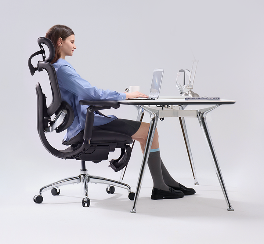 Sihoo Doro C300 Pro V2 Ergonomic Office Chair