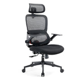 Sihoo B100 Ergonomic Office Chair With Flip-Up Armrest