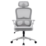 Sihoo M102C Lightweight Ergonomic Office Chair with Basic Support