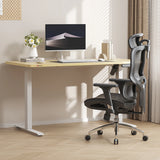 Sihoo M56B Dual-Back Ergonomic Office Chair for Better Posture