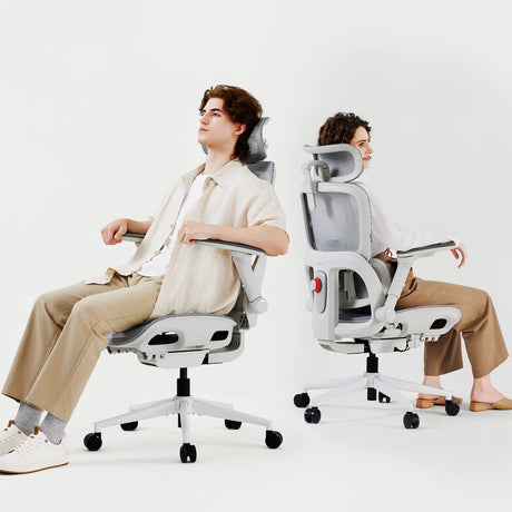 Sihoo B300 Pro Ergonomic Office Chair with 4D Lumbar Support