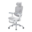 Sihoo Doro C300 Pro V2 Ergonomic Office Chair