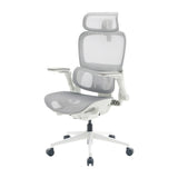 Sihoo B300 Pro Ergonomic Office Chair with 4D Lumbar Support