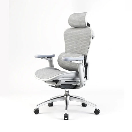 Sihoo C300 Ergonomic Office Chair with Advanced Back Support