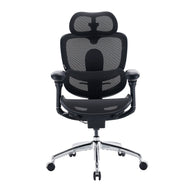 Sihoo Doro C300 Pro V2 Ergonomic Office Chair - Black / Standard Version