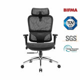 Sihoo M56B Dual-Back Ergonomic Office Chair for Better Posture