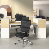 Sihoo M56C Dual-Back Ergonomic Office Chair with Soft Cushion