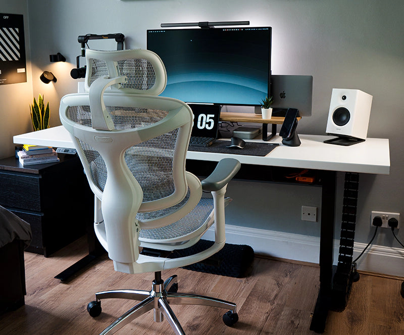 Sihoo's Doro-C300 ergonomic office chai