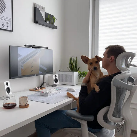 Sihoo C300 Ergonomic Office Chair with Advanced Back Support