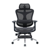 Sihoo C300 Ergonomic Office Chair with Advanced Back Support