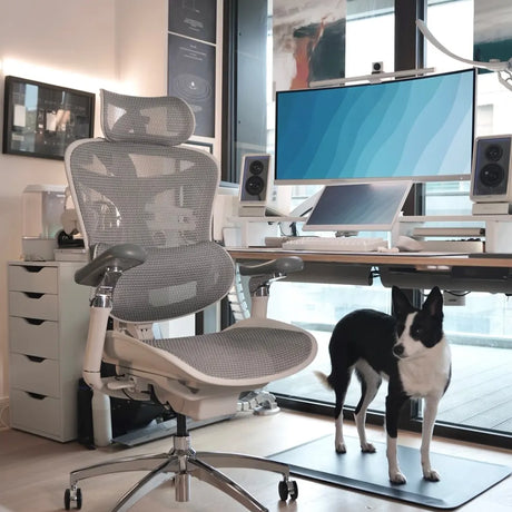 Sihoo C300 Pro Ergonomic Office Chair with Seat Depth for Long Sitting