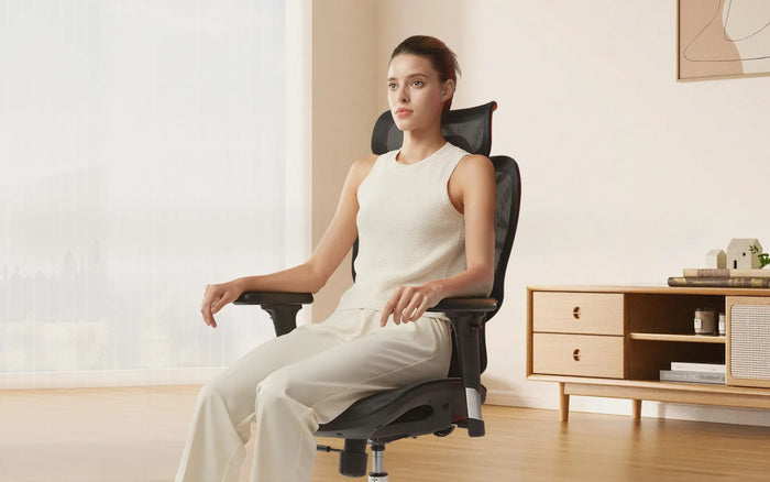 Sihoo M56B Ergonomic Chair