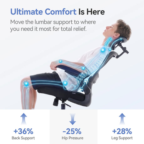 Sihoo M102C Pro Ergonomic Office Chair with Cushioned Seat