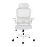 Sihoo M102C Pro Ergonomic Office Chair with Cushioned Seat