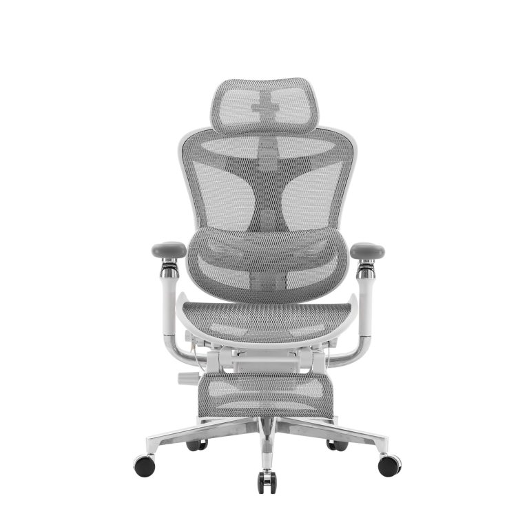 c500_Scene, White Background Main Image_1600